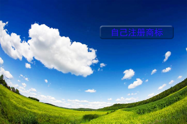 商標(biāo)注冊是自己注冊好，還是找北京商標(biāo)注冊公司注冊?